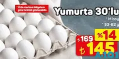YUMURTA 30'LU M BOY fiyat ve kampanya bilgisi